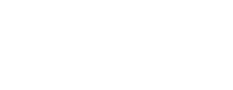 Nevius Chiropractic branding logo with modern typography