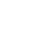 Prenatal Chiropractic Care Icon